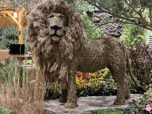Topiary Lions
